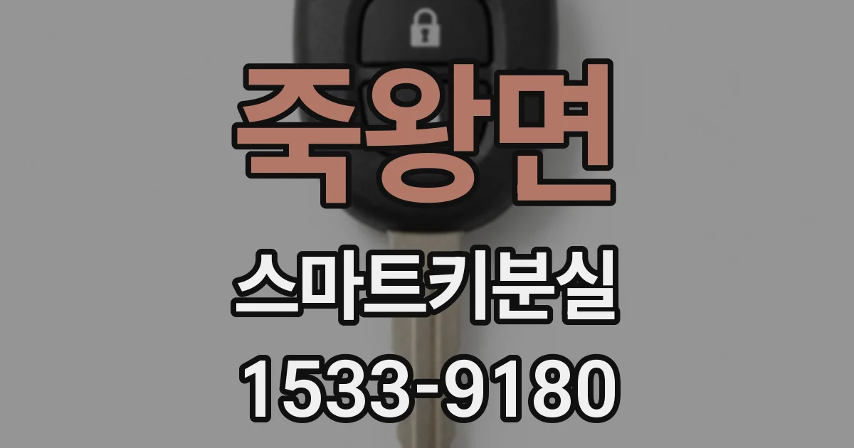 죽왕면 스마트키분실