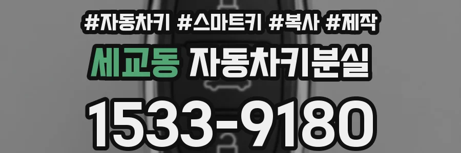 세교동 자동차키분실