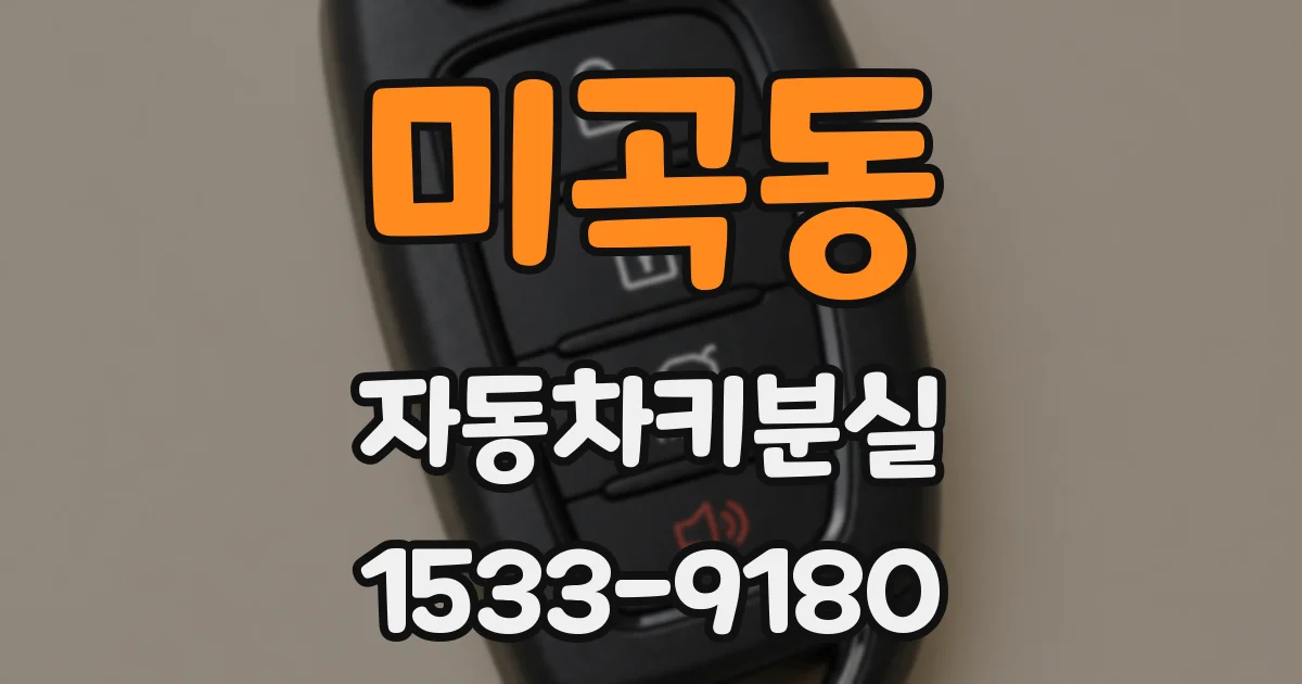 미곡동 자동차키분실