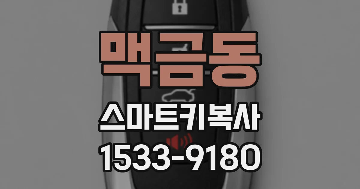 맥금동 스마트키복사