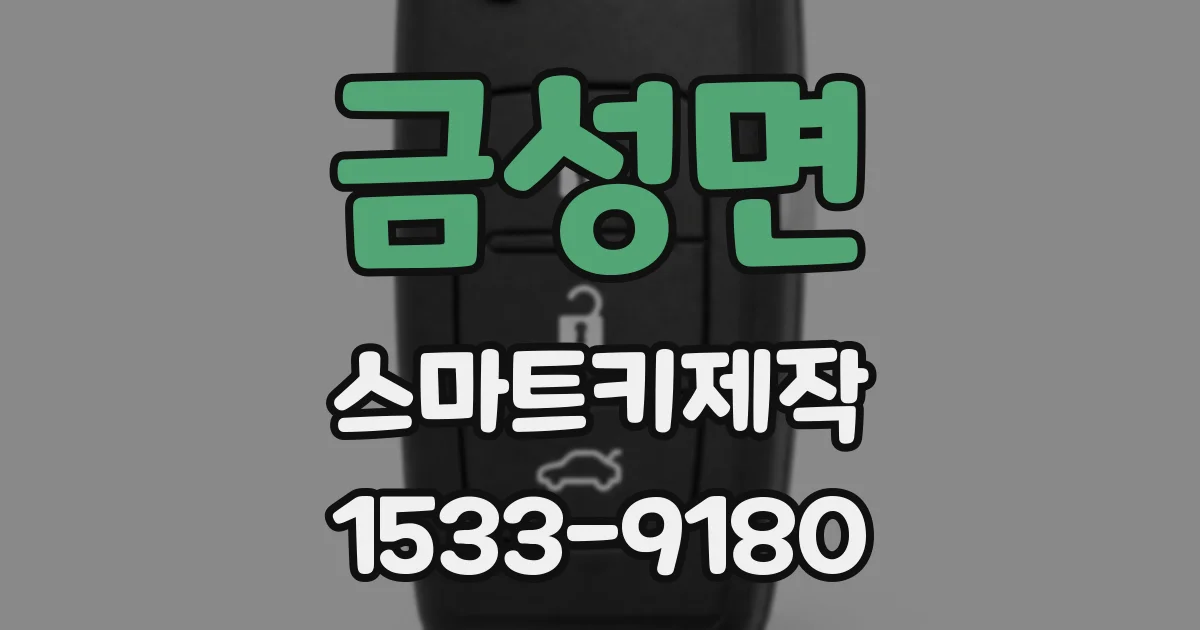금성면 스마트키제작