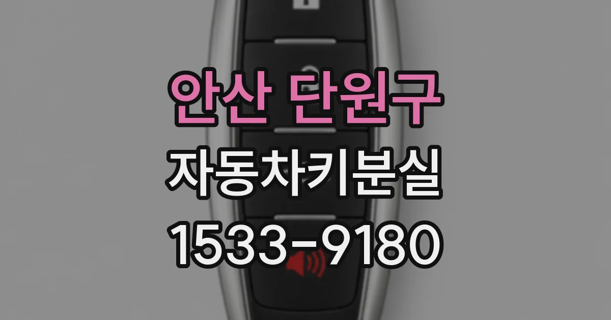 안산 단원구 자동차키분실