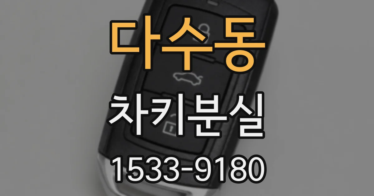 다수동 차키분실