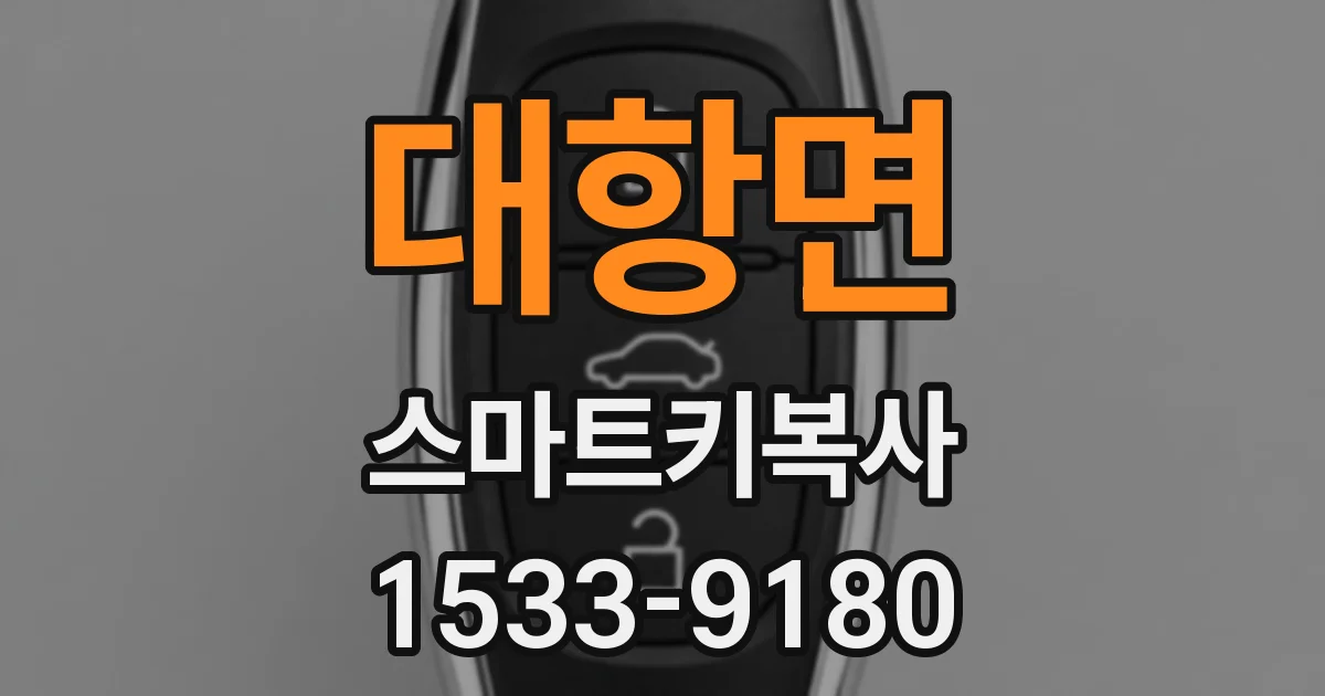 대항면 스마트키복사