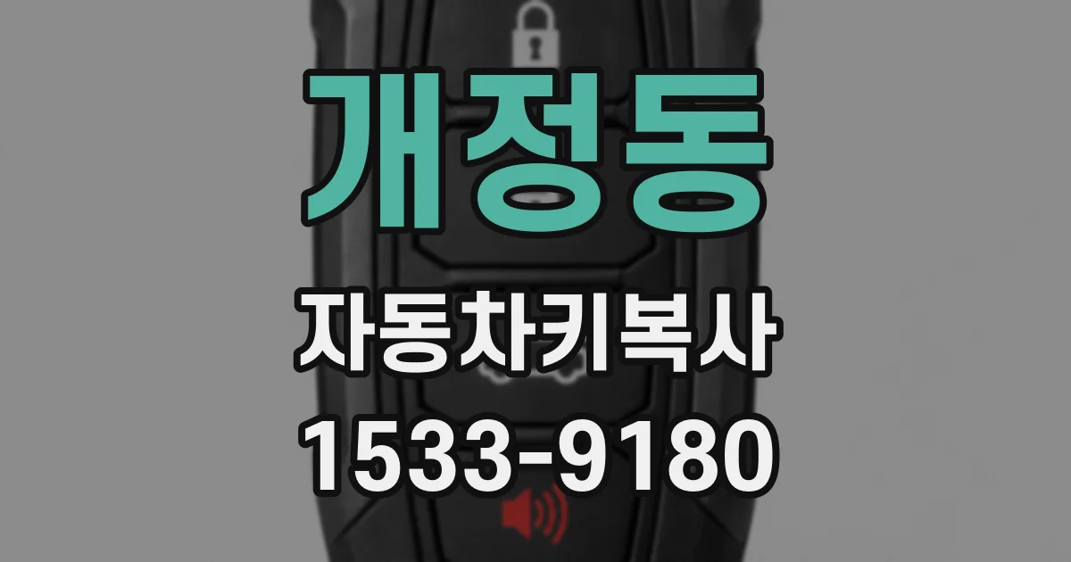 개정동 자동차키복사