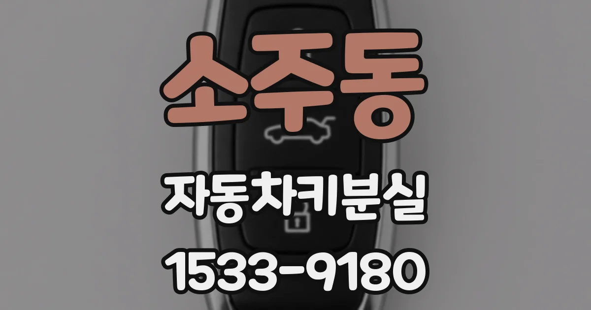 소주동 자동차키분실