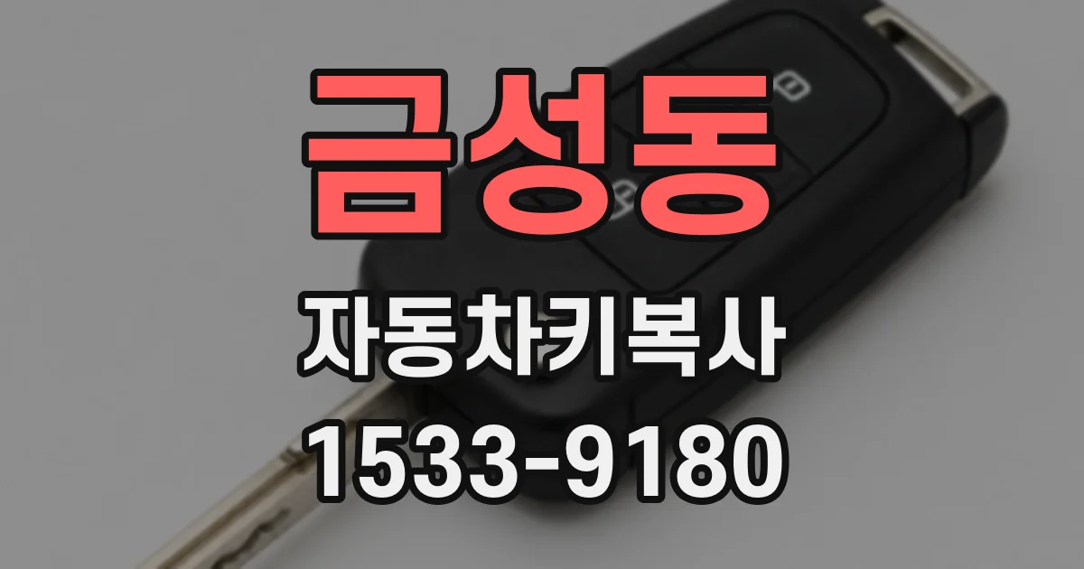 금성동 자동차키복사