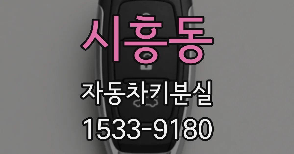 시흥동 자동차키분실