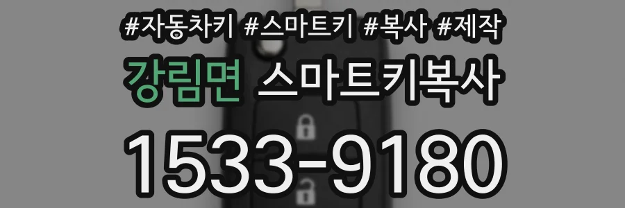 강림면 스마트키복사