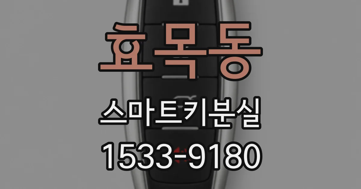 효목동 스마트키분실