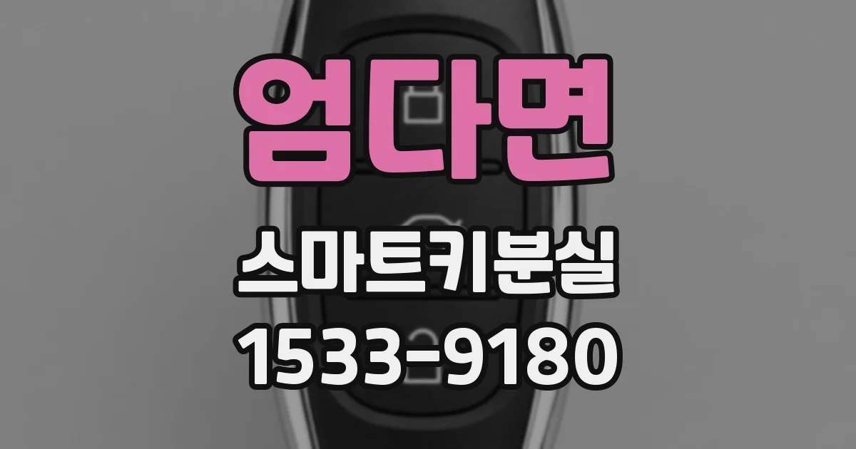 엄다면 스마트키분실