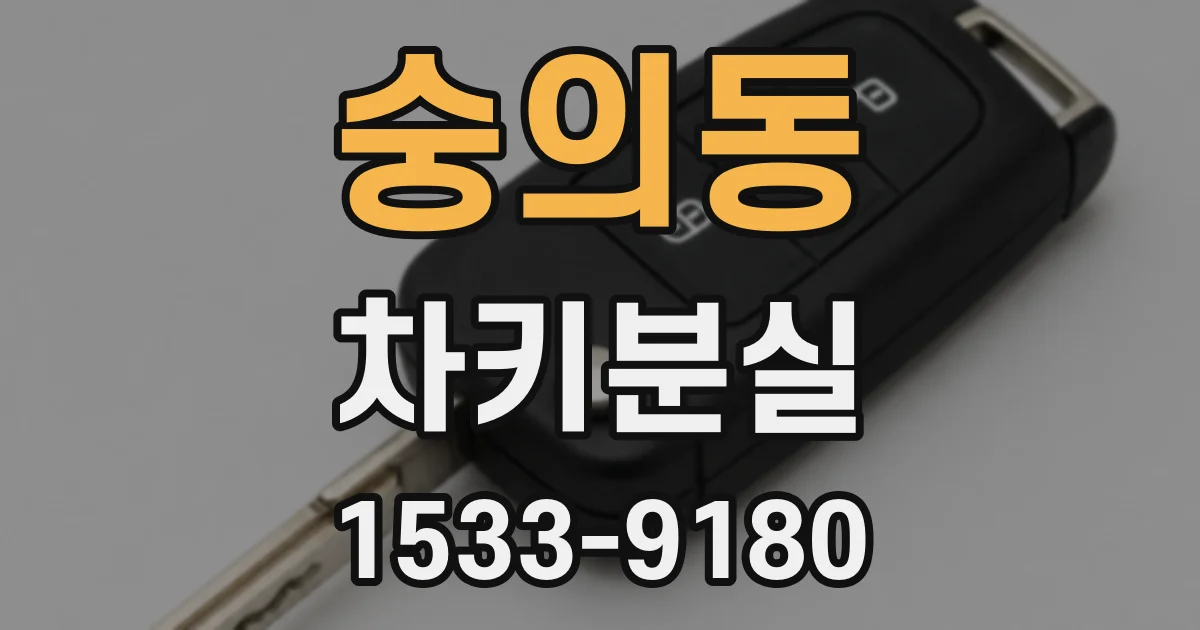 숭의동 차키분실