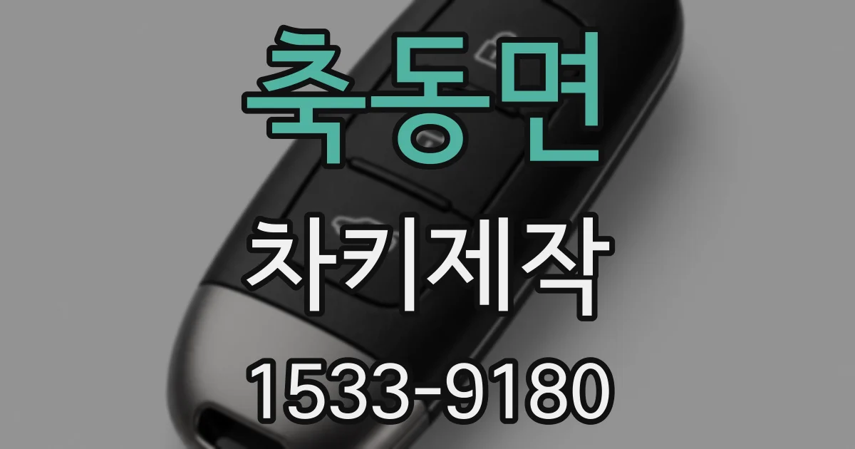 축동면 차키제작