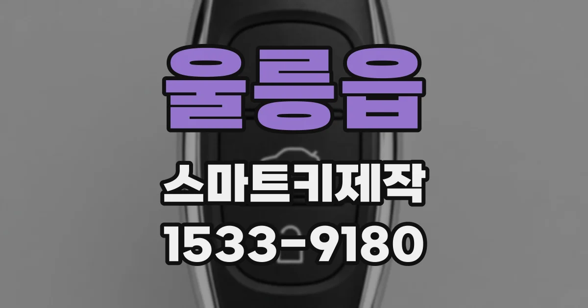 울릉읍 스마트키제작