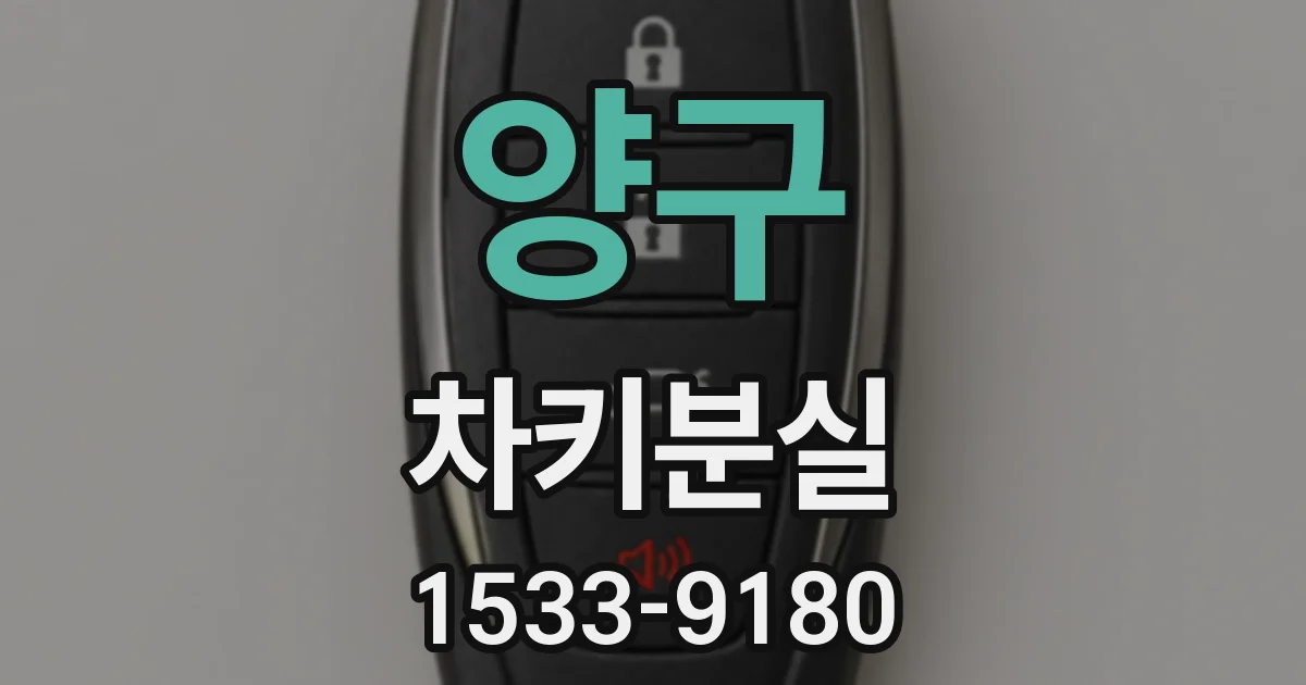 양구 차키분실