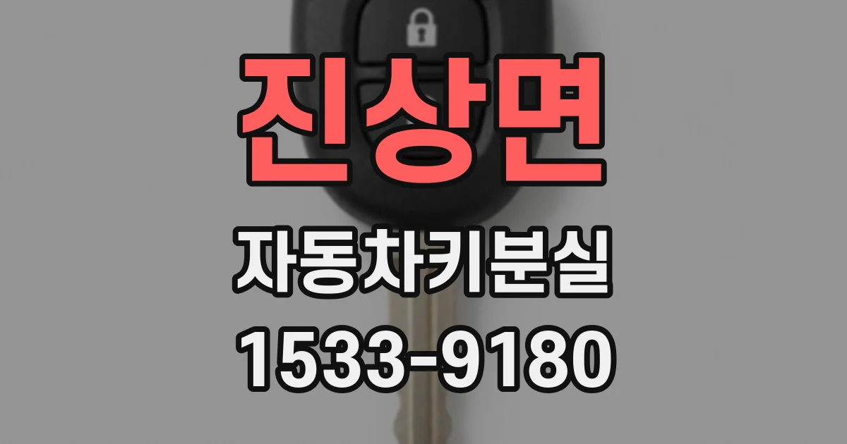 진상면 자동차키분실