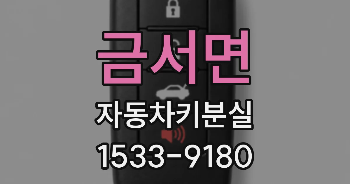 금서면 자동차키분실