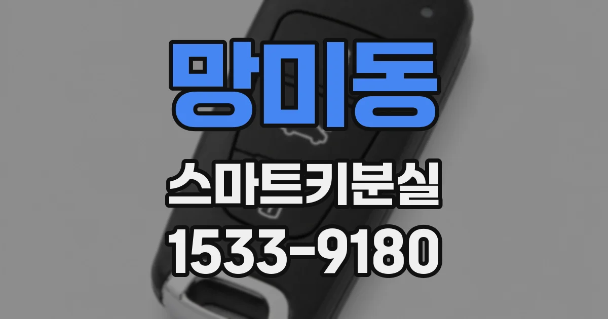 망미동 스마트키분실