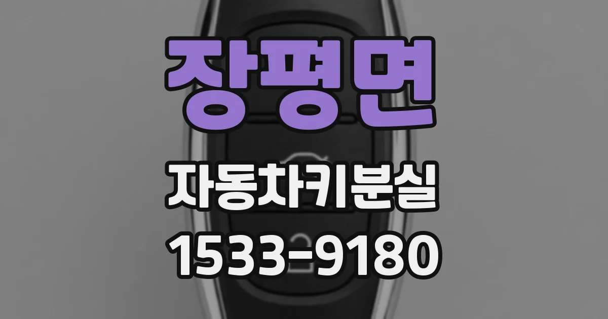 장평면 자동차키분실