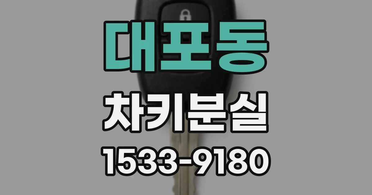 대포동 차키분실