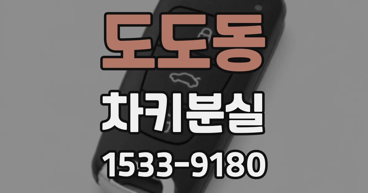 도도동 차키분실