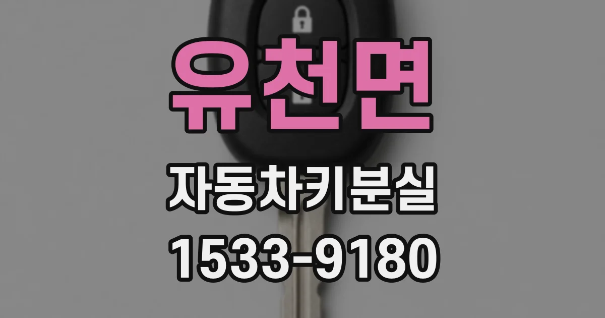 유천면 자동차키분실
