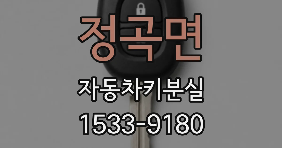 정곡면 자동차키분실