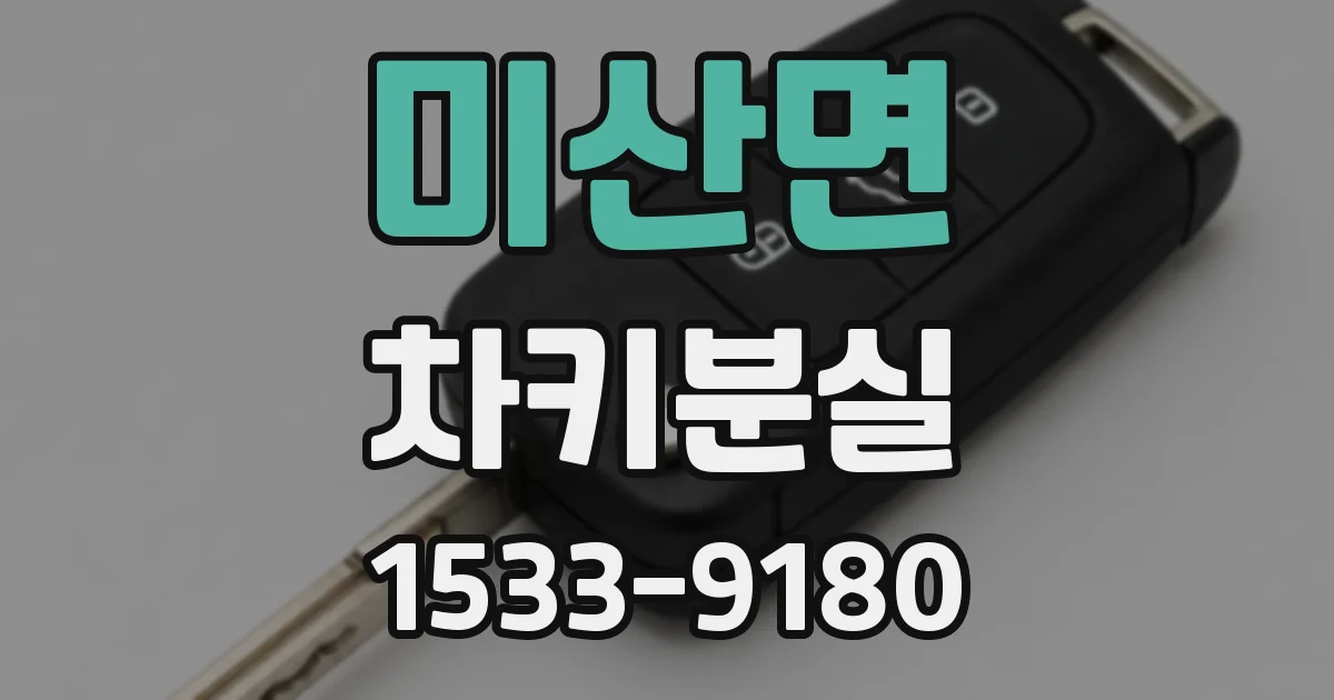 미산면 차키분실