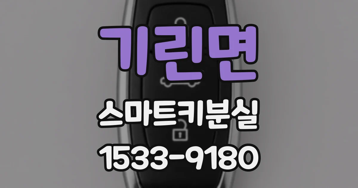 기린면 스마트키분실