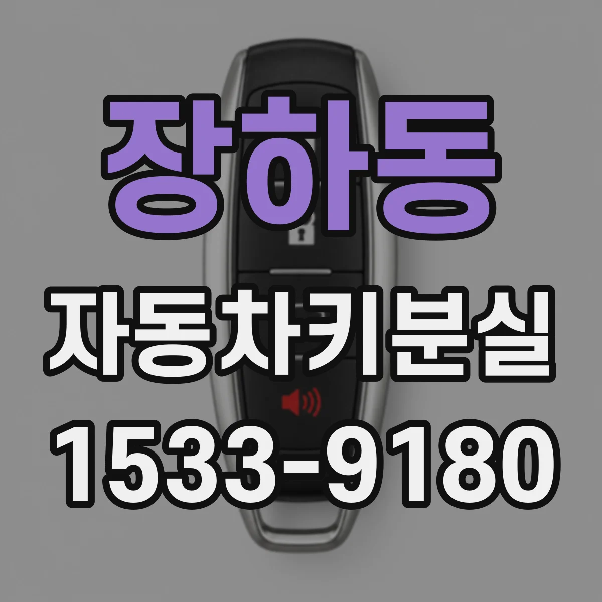 장하동 자동차키분실