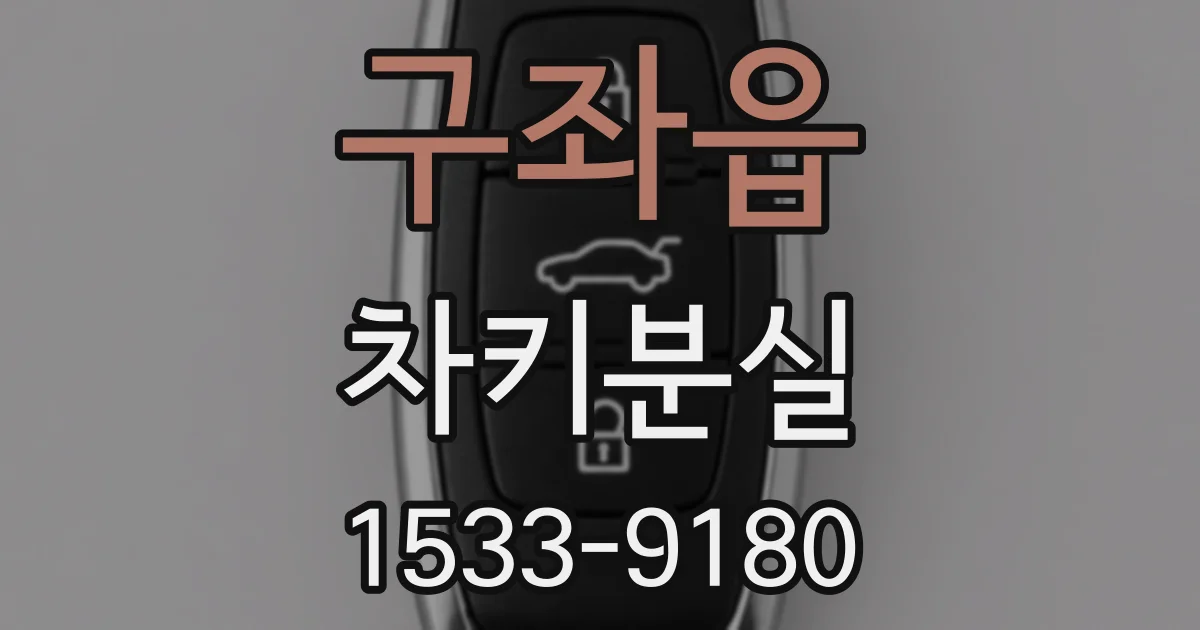 구좌읍 차키분실