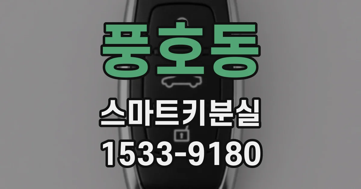 풍호동 스마트키분실