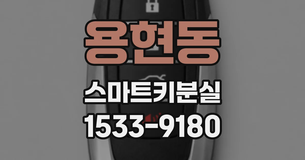 용현동 스마트키분실