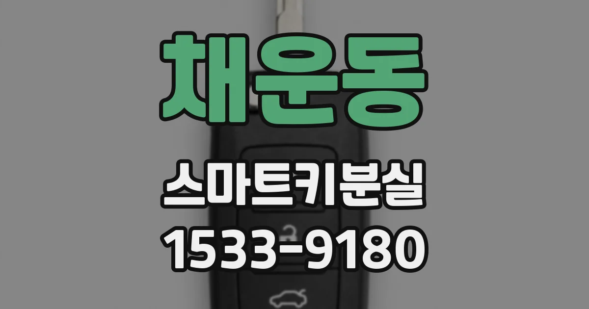 채운동 스마트키분실
