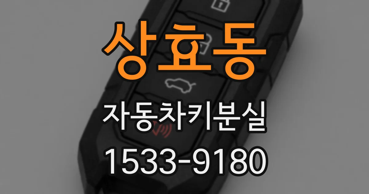 상효동 자동차키분실