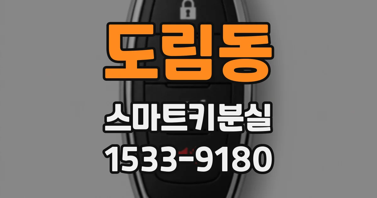 도림동 스마트키분실