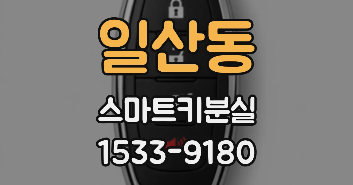 일산동 스마트키분실