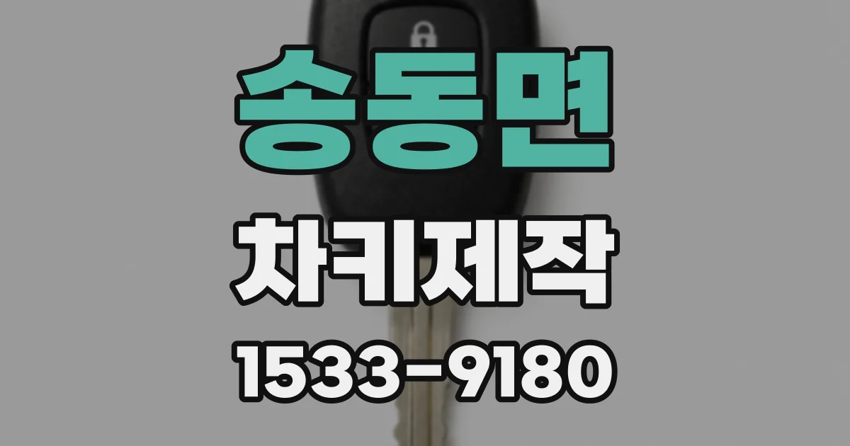 송동면 차키제작
