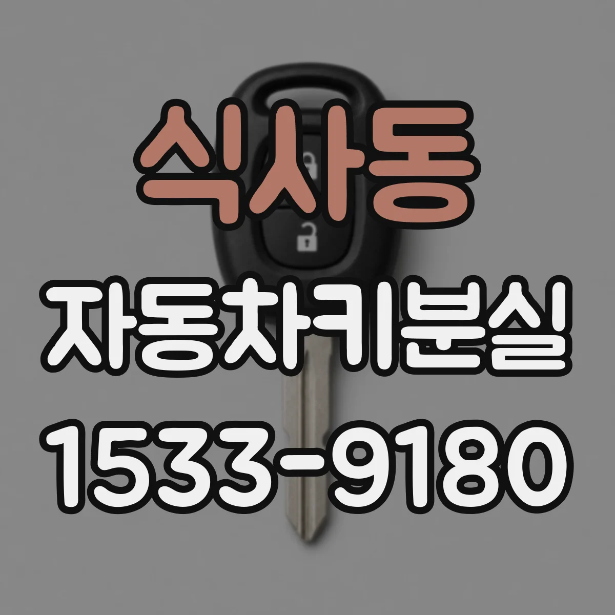 식사동 자동차키분실