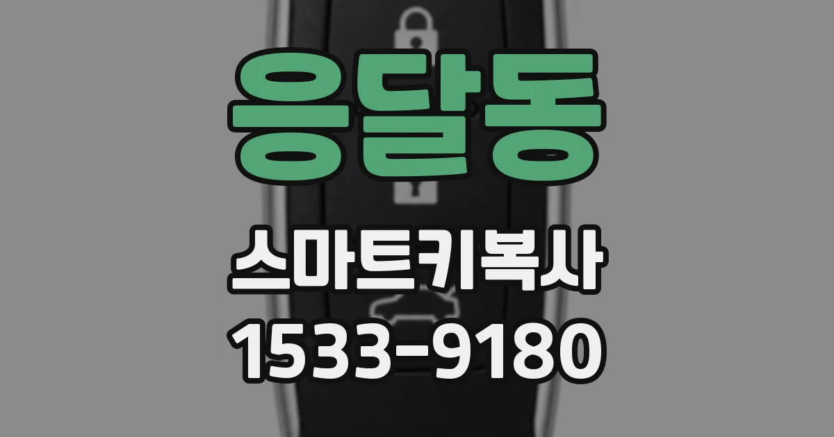 응달동 스마트키복사
