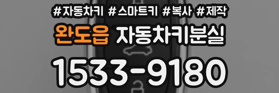 완도읍 자동차키분실