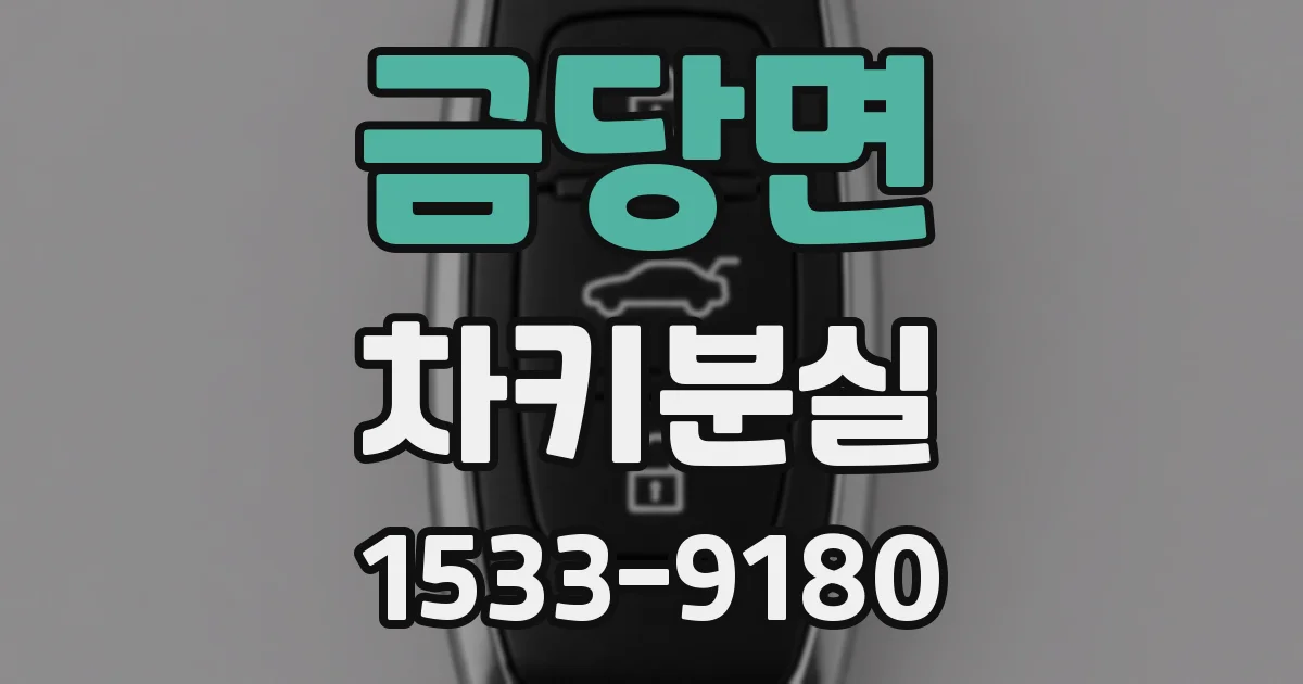 금당면 차키분실