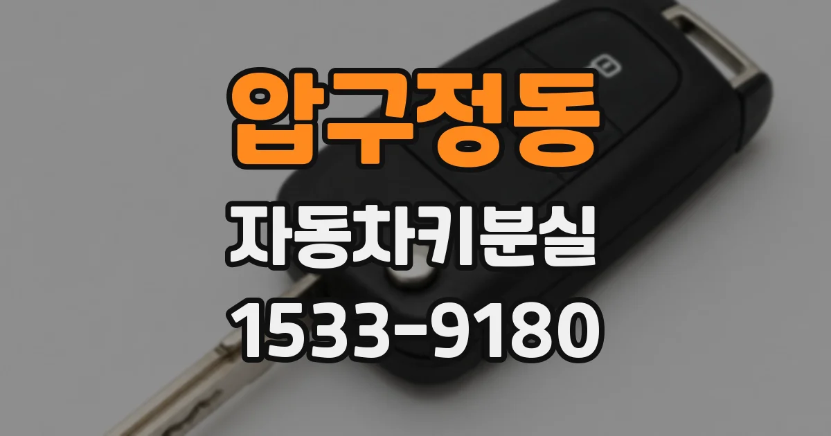 압구정동 자동차키분실