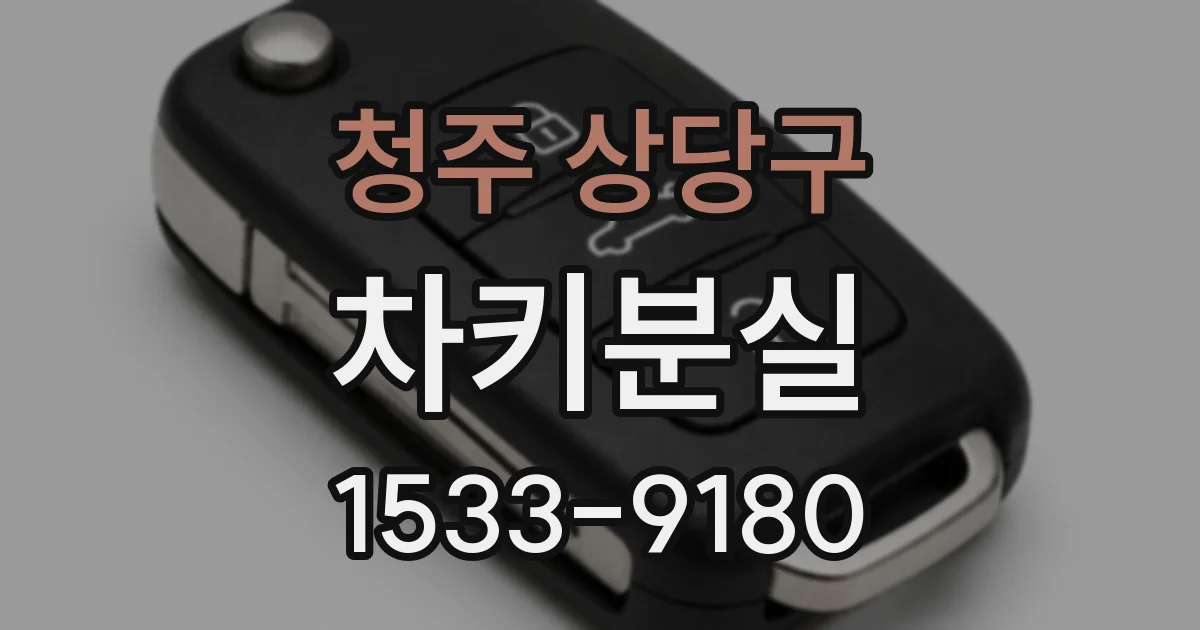 청주 상당구 차키분실