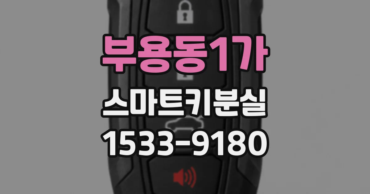 부용동1가 스마트키분실