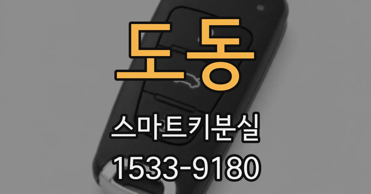 도동 스마트키분실