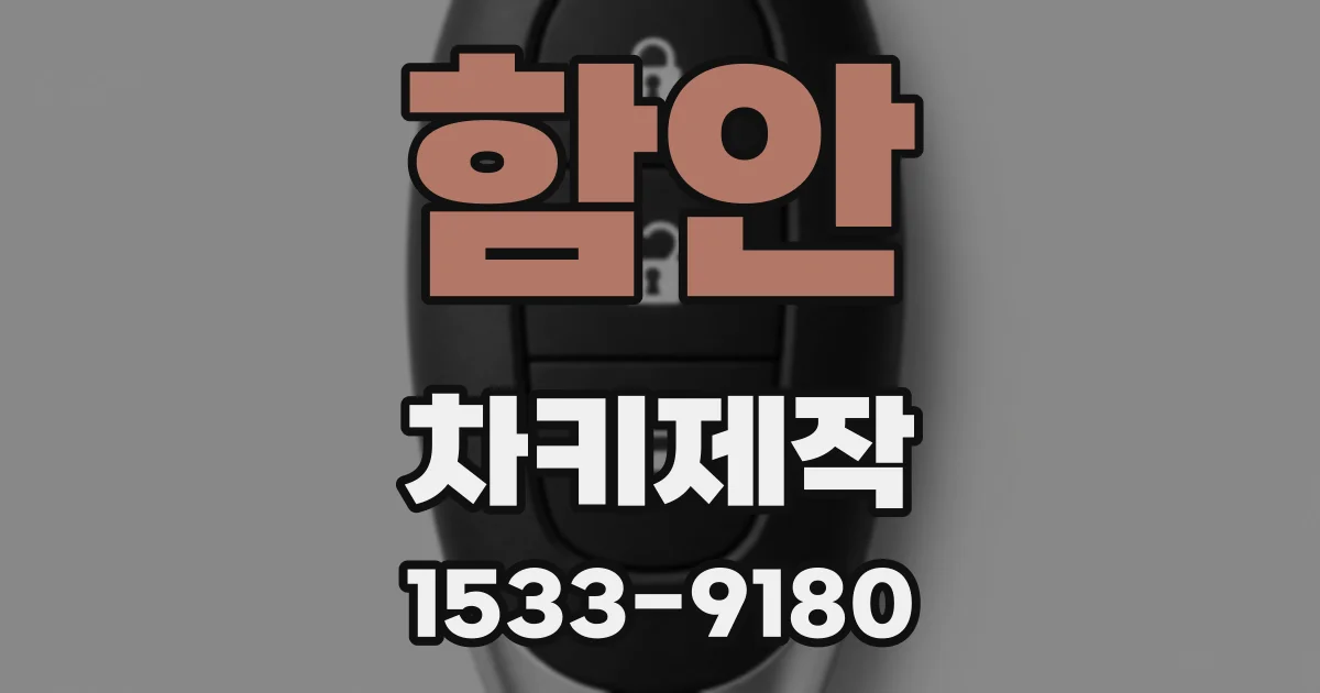 함안 차키제작