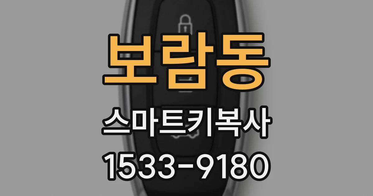 보람동 스마트키복사