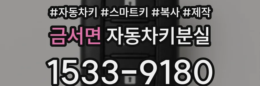 금서면 자동차키분실