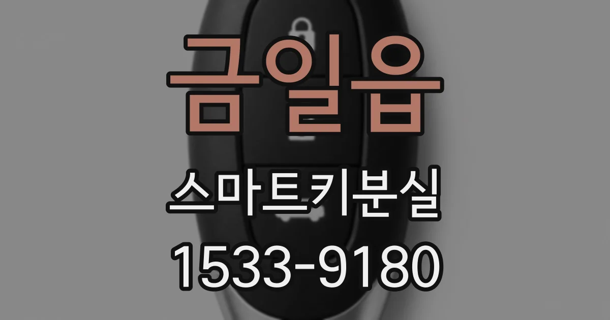 금일읍 스마트키분실